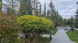 Сочи дендрарий