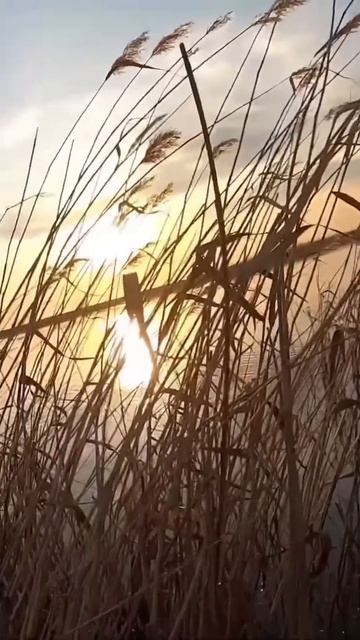 Весенняя охота #охотанауток #охота #весенняяохота смотреть онлайн