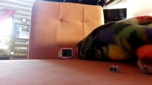 кино про лабубу