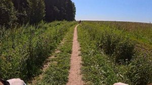 2025-07-27 Истринский Веломарафон. Лучшее.