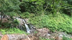 РОЗА ХУТОР 19.07.2025.mp4