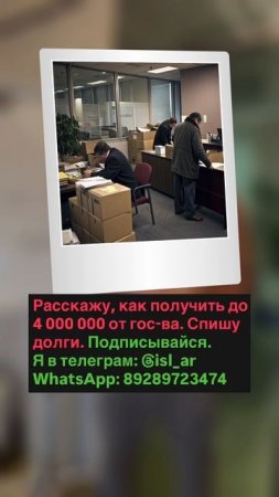 Что будет с сотрудниками, если я ИП и подаю на банкротство?
