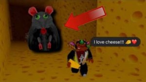 Убегаю От Мышки🥰