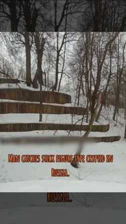 В России была замечена тёмная, тонкая фигура с ярко светящимися глазами, напоминающая слендермена.