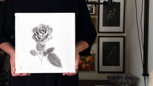 Как нарисовать цветок розы в технике графика