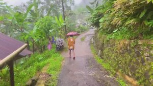 ОЧЕНЬ СИЛЬНЫЙ ДОЖДЬ В ТИХОЙ ХОЛМИСТОЙ ИНДОНЕЗИЙСКОЙ ДЕРЕВНЕ - ЗВУКИ ДОЖДЯ ДЛЯ СНА