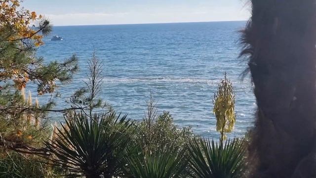 последний день лета Сочи 2 ноября 24 года смотреть онлайн