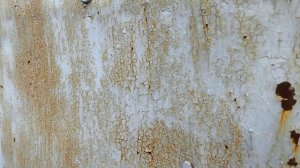 КУВАДЫ 29 июля 25 года ЯГОДЫ ЯБЛОКИ МАЛИНА