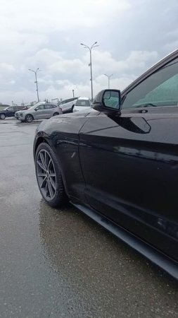 Ford Mustang 2.3 л Бензин МКПП (314 л.с.) 2WD 2017