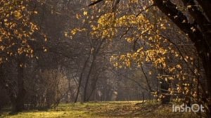 ВЕРНУЛСЯ МАМА Я ДОМОЙ Сайдахмад С. муз.Сайд.