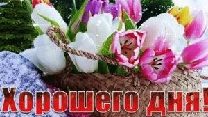 С хорошим днём. Музыкальная открытка пожелание.