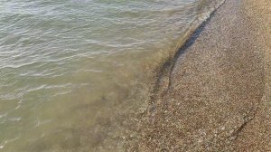Азовское море. Должанская. 28.07.2025