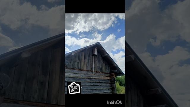 Путешествие в Лудорвай, 2024. #Лудорвай#like #youtube #история #минивлог