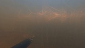 Поохотился на выходных.