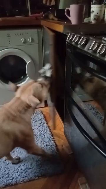 rutube.ru
