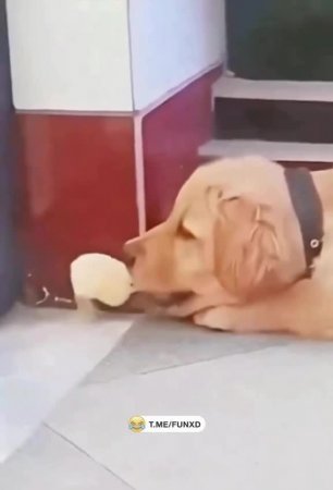 Подстава на ровном месте😄