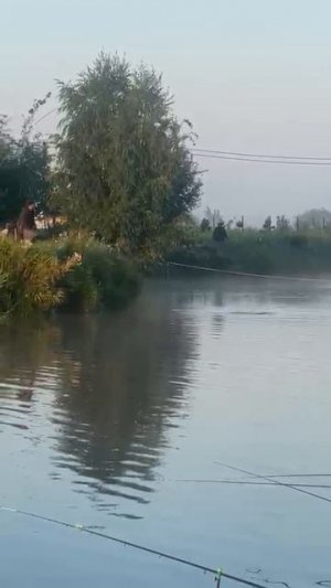 29-07-2025