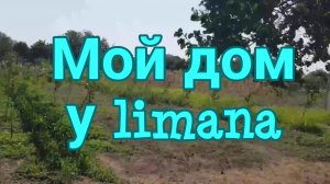 Мой дом у лимана.Александровка- вести с полей😁 Ейск - подвязываем виноград. Море-вода скоро закипит