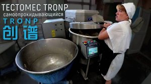 Тестомесительное оборудование TRONP: Обзор промышленного тестомеса с функцией опрокидывания