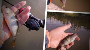 Микро кастинг, какая обстановка на прудах