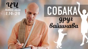 2025-06-23 — "Собака — друг вайшнава" ЧЧ Антья-лила 1.14-24 в кафе "Говинда", Казань