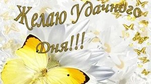 С чудесным днём. Музыкальная открытка пожелание.