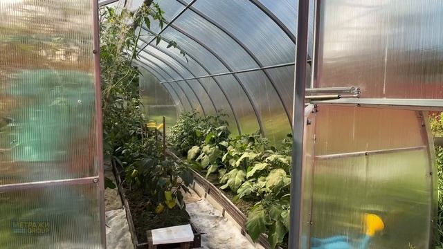 Представляем вашему вниманию поистине уникальное предложение смотреть онлайн