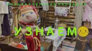 бабочки Коми