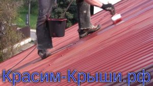 Покраска крыши дома в городе Клин
