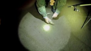 Эх хорошо отдохнули! Чехонь идет. Бонусом бестер