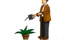 English for children - English Family Flashcards designed for children and kids - Study with fun