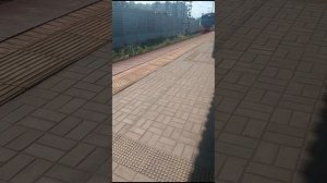 все поезда которые заснял