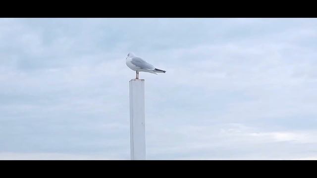 Сочи смотреть онлайн