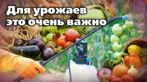 Какие работы увеличивают урожаи. Простые операции, а результат потрясающий