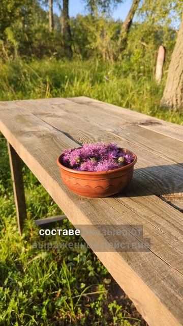 от описторхоза и для печени смотреть онлайн