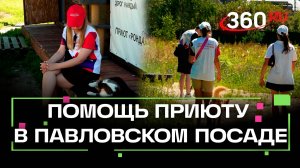 Волонтеры Подмосковья помогли приюту для животных в Павловском посаде