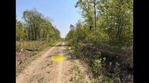 Соловей Ключ Участок 10 соток в СНТ Диана