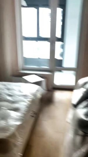 video_2025-07-29_21-17-14