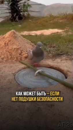 Почему богатые копят, хотя и так богаты