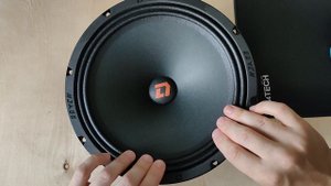 DL Audio Raven 250 V.2 распаковка, обзор, замер АЧХ