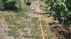 Всяко разно.