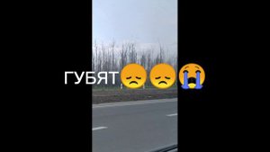Люди берегите природу