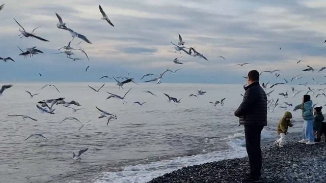 26 января 2025 г. в Сочи нет мазута смотреть онлайн