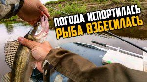 ГДЕ ИСКАТЬ РЫБУ, ЕСЛИ ПОГОДА ИСПОРТИЛАСЬ? Ловля судака и щуки при похолодании