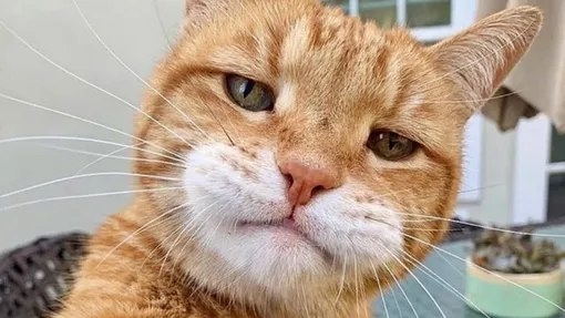 моя удача смотреть онлайн