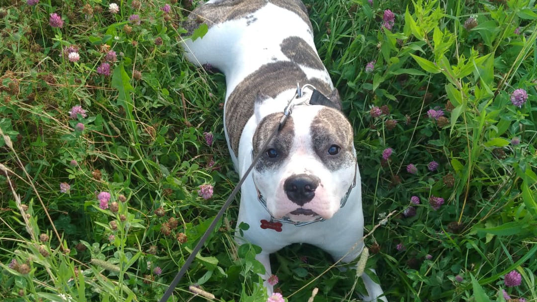 бабюшки бай)) смотреть онлайн