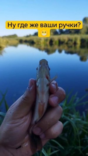 Давай поднимем ручки