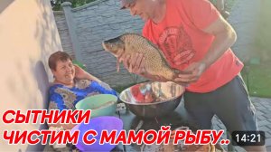 САМВЕЛ АДАМЯН, СЫТНИКИ, ЧИСТИМ С МАМОЙ РЫБУ..