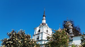 Соловки. 29. 07. 2025