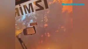 Турецкие волонтёры оказались в эпицентре пожара!